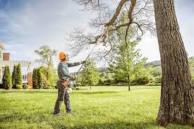 Best Hedge Trimming  in Cullman, AL